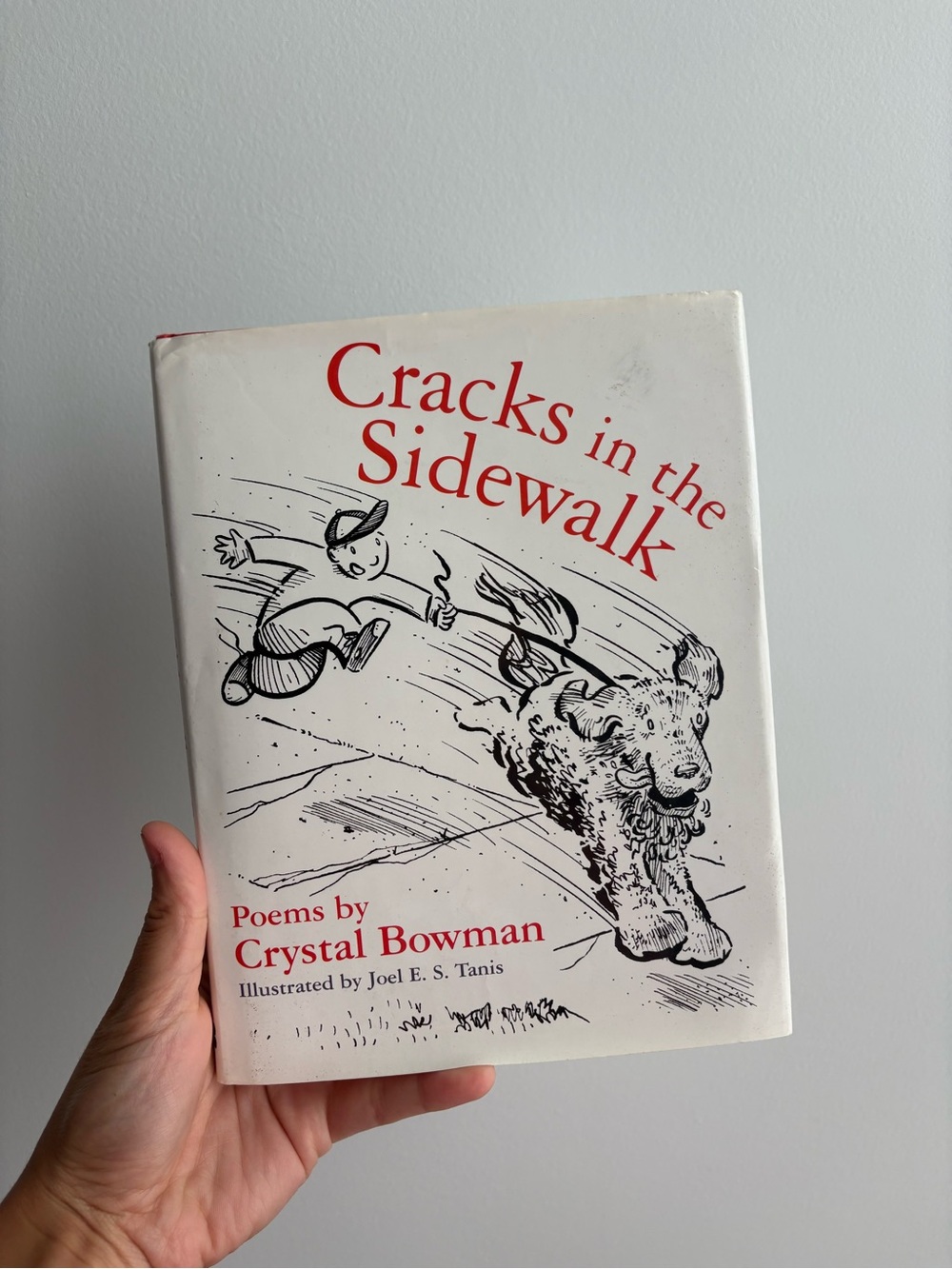 Cracks in the Sidewalk by Crystal Bowman - White & Red Cover